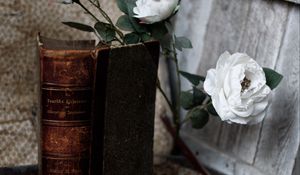 Превью обои книга, старый, розы, цветы
