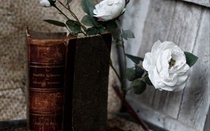 Превью обои книга, старый, розы, цветы