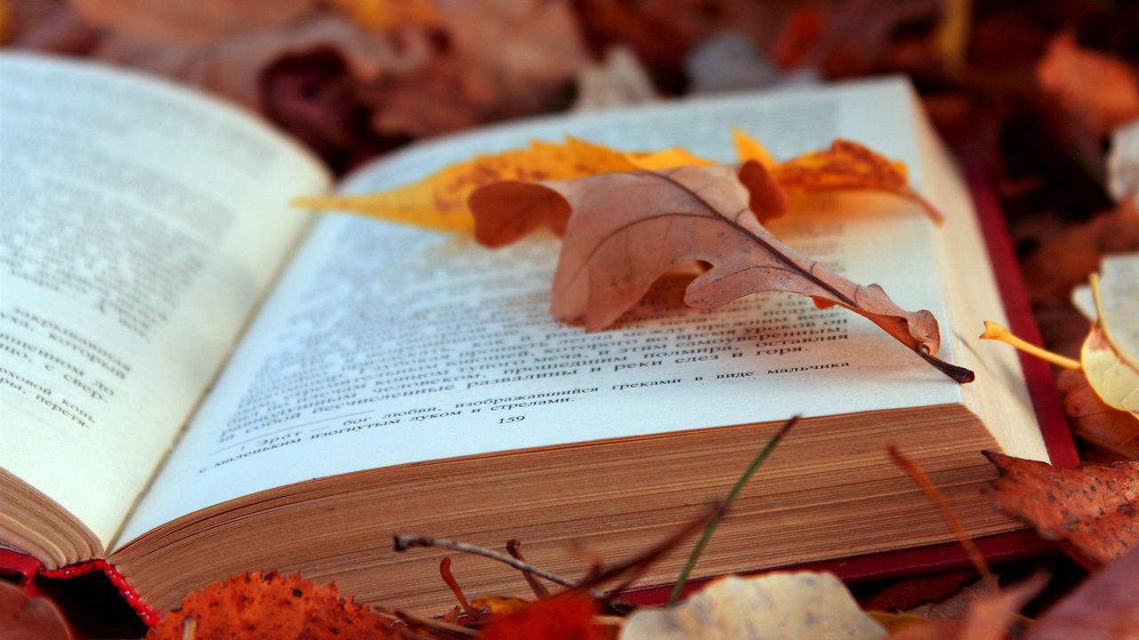 Обои книга, текст, листья, осень, листва, страницы