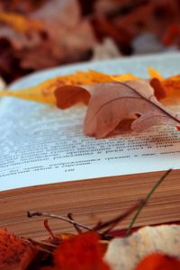 Превью обои книга, текст, листья, осень, листва, страницы