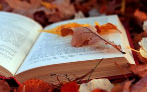 Превью обои книга, текст, листья, осень, листва, страницы