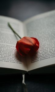 Превью обои книга, тюльпан, цветок, красный