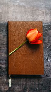 Превью обои книга, тюльпан, цветок