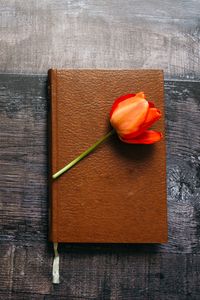 Превью обои книга, тюльпан, цветок