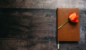 Превью обои книга, тюльпан, цветок