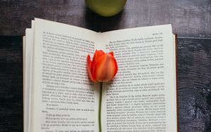 Превью обои книга, тюльпан, цветок, яблоки, композиция
