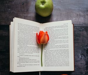 Превью обои книга, тюльпан, цветок, яблоки, композиция