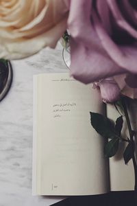Превью обои книга, цитата, розы, цветы