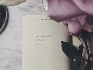 Превью обои книга, цитата, розы, цветы