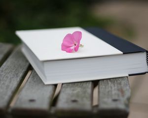 Превью обои книга, цветок, красиво, скамейка, размытость
