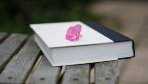 Превью обои книга, цветок, настроение, поверхность
