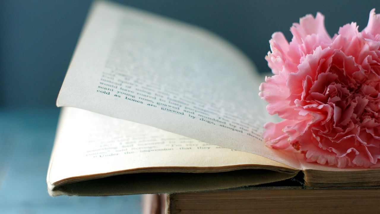 Обои книга, цветок, закладка, страница