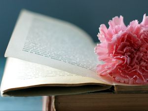 Превью обои книга, цветок, закладка, страница