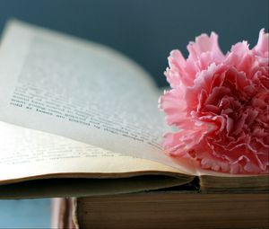Превью обои книга, цветок, закладка, страница