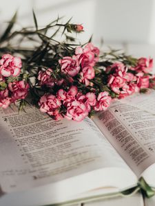 Превью обои книга, цветы, букет, розовый