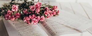 Превью обои книга, цветы, букет, розовый