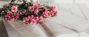 Превью обои книга, цветы, букет, розовый