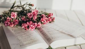 Превью обои книга, цветы, букет, розовый