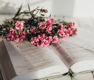 Превью обои книга, цветы, букет, розовый