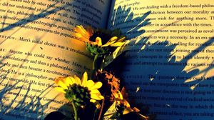 Превью обои книга, цветы, бумага, тень