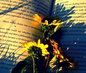 Превью обои книга, цветы, бумага, тень