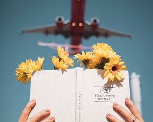 Превью обои книга, цветы, руки, чтение, самолет