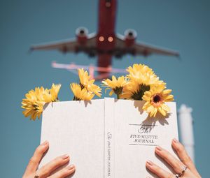 Превью обои книга, цветы, руки, чтение, самолет