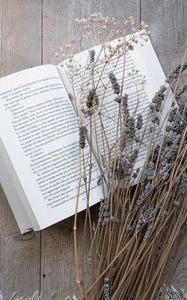 Превью обои книга, цветы, сухоцвет, деревянный