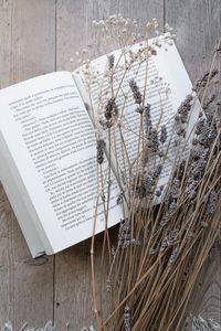 Превью обои книга, цветы, сухоцвет, деревянный