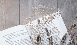 Превью обои книга, цветы, сухоцвет, деревянный
