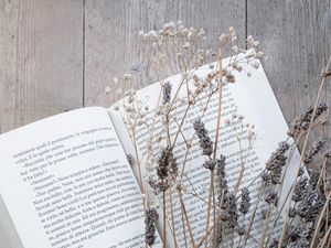 Превью обои книга, цветы, сухоцвет, деревянный