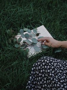 Превью обои книга, ветка, рука, трава, газон