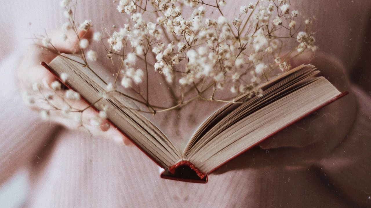 Обои книга, ветка, цветы, белый, открытый