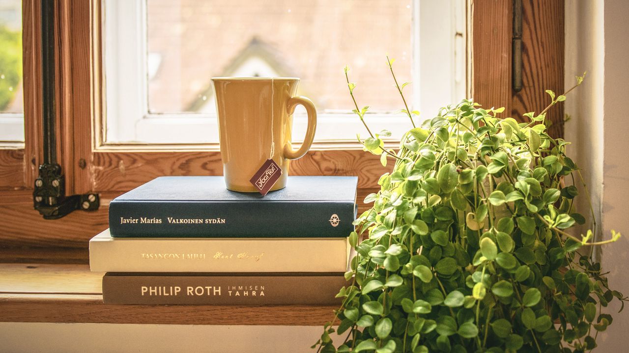 Обои книги, чашка, чай, подоконник, окно, комнатное растение