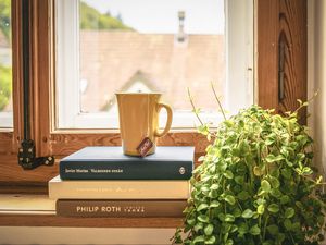 Превью обои книги, чашка, чай, подоконник, окно, комнатное растение