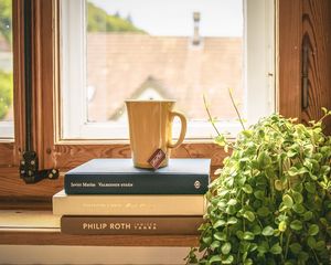 Превью обои книги, чашка, чай, подоконник, окно, комнатное растение