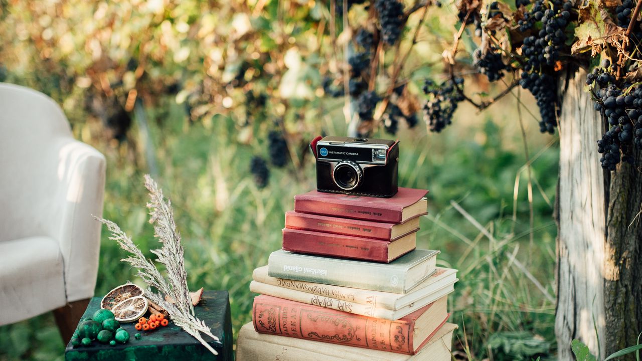 Обои книги, камера, дерево, виноград, ретро, эстетика