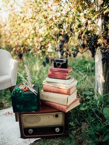 Превью обои книги, камера, дерево, виноград, ретро, эстетика
