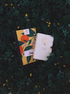 Превью обои книги, листва, цветы, чтение