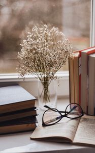 Превью обои книги, очки, ваза, окно, подоконник, цветы