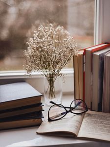 Превью обои книги, очки, ваза, окно, подоконник, цветы