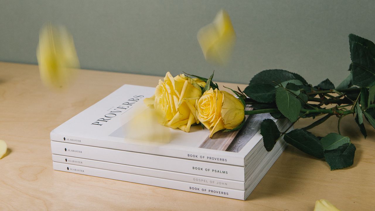 Обои книги, розы, цветы, лепестки