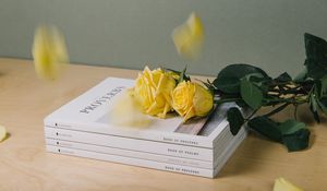 Превью обои книги, розы, цветы, лепестки