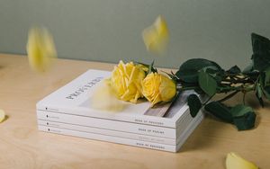 Превью обои книги, розы, цветы, лепестки