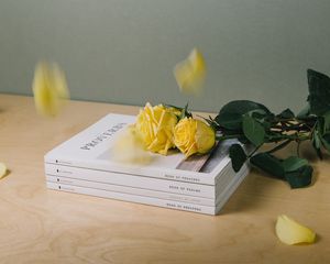 Превью обои книги, розы, цветы, лепестки
