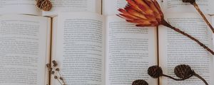 Превью обои книги, цветы, гербарий, сухой, растения