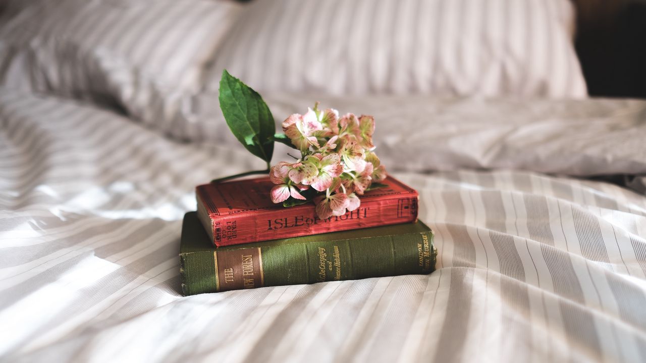 Обои книги, цветы, постель, вдохновение
