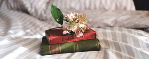Превью обои книги, цветы, постель, вдохновение