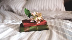 Превью обои книги, цветы, постель, вдохновение