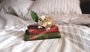 Превью обои книги, цветы, постель, вдохновение